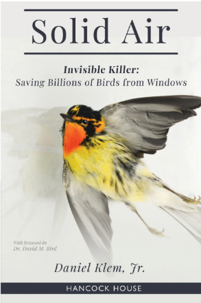 Solid Air / book cover